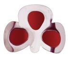 More about Coloured Shamrock Buckles: Red