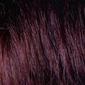 More about Fringe 33 Dark Auburn