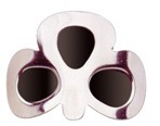 Coloured Shamrock Buckles: Black